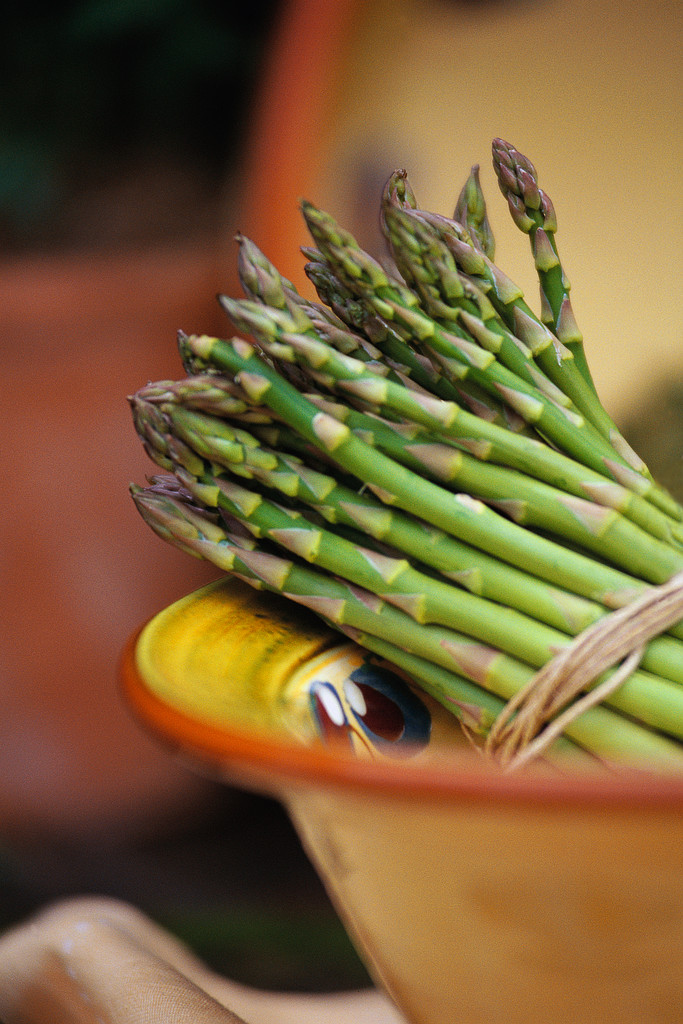 People Who Garden Weigh Less