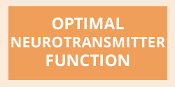 Optimal Body Balance: Optimal Neurotransmitter Function
