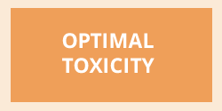 Optimal Body Balance: Optimal Toxicity Plan