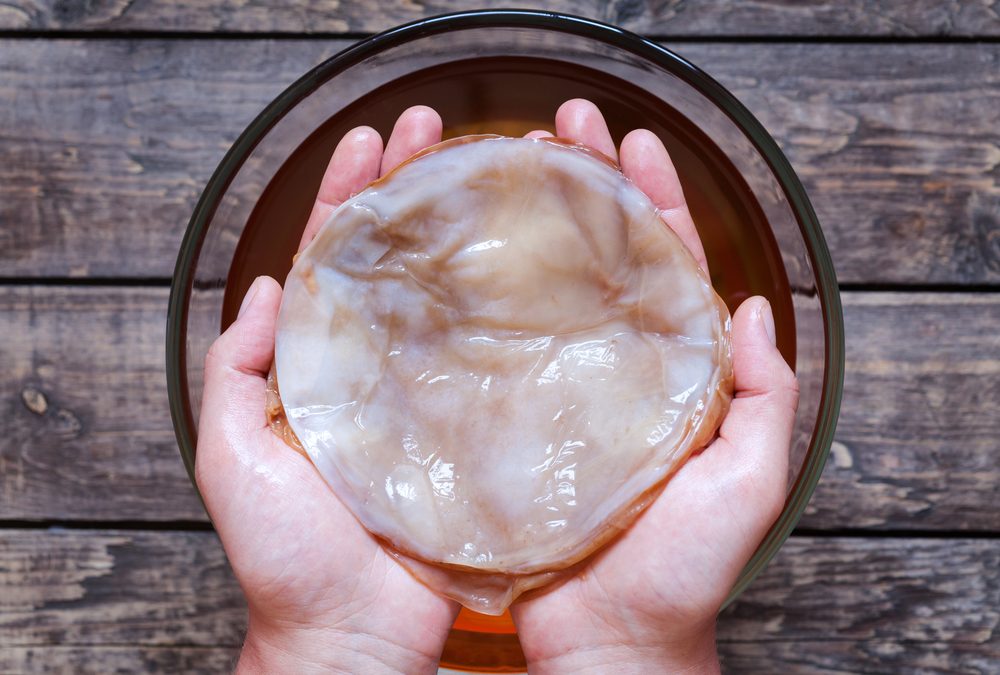 How to Grow a SCOBY at Home