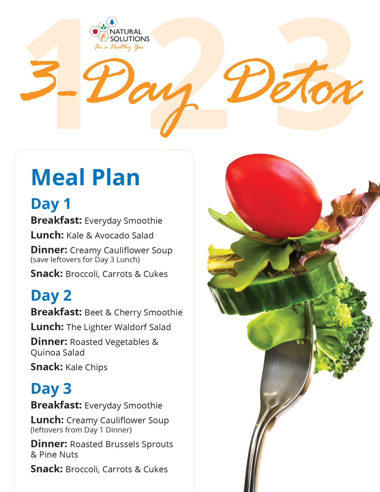Download the 3-Day Detox Plan | Natural Solutions